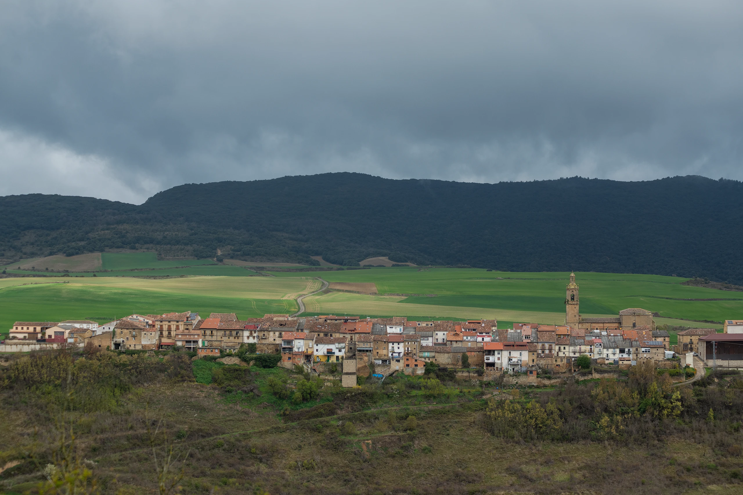 Aguilar de Cod&eacute;s