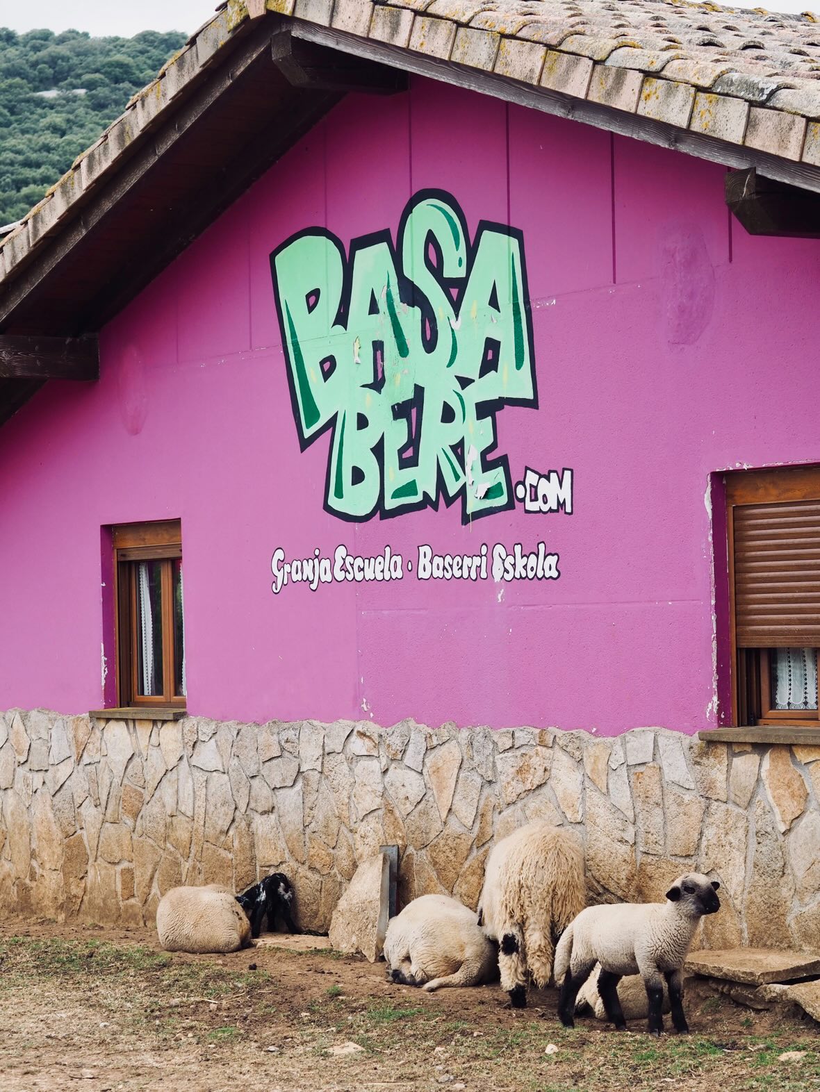 Albergue Basabere - foto 11