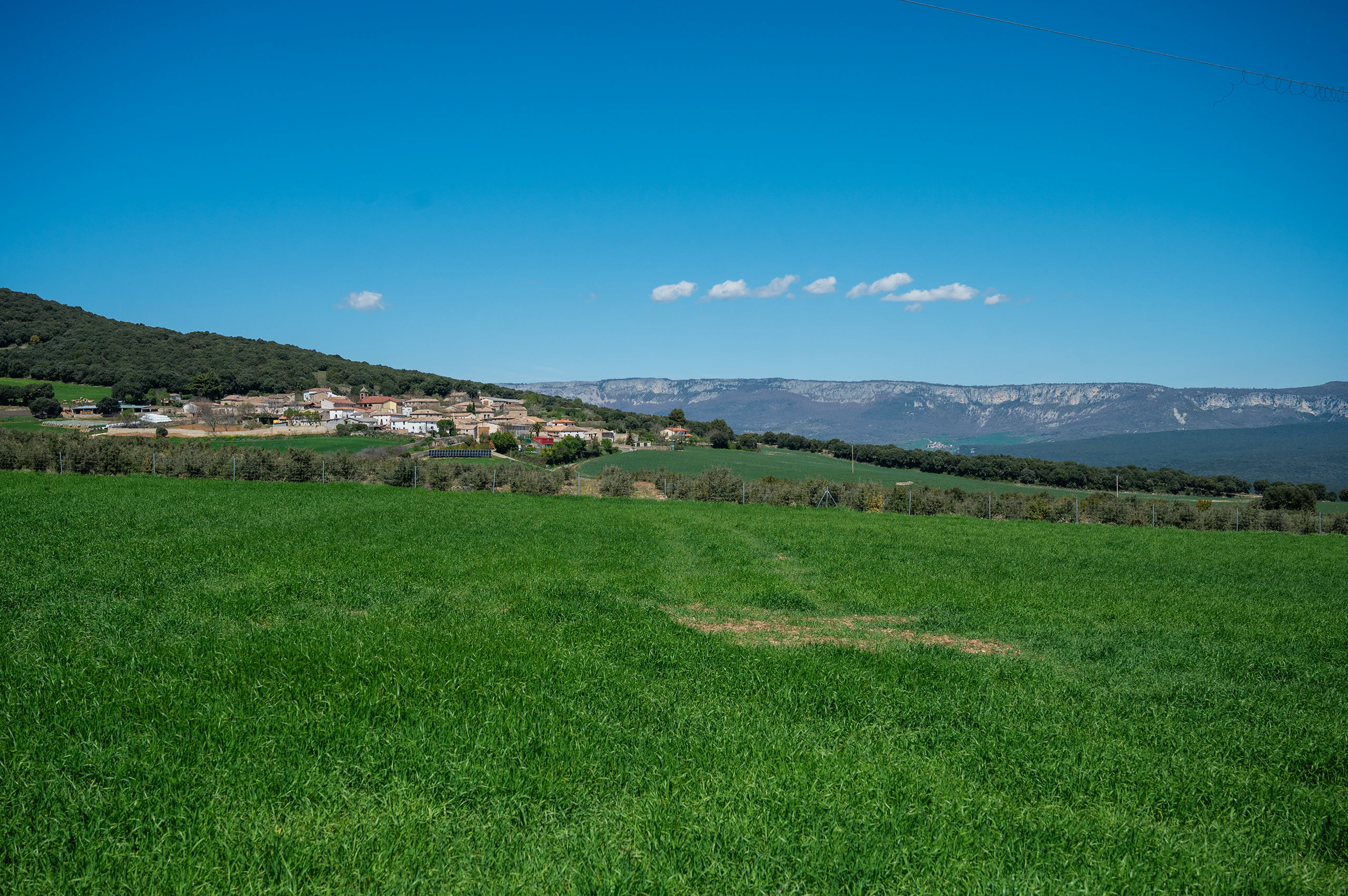 Asarta