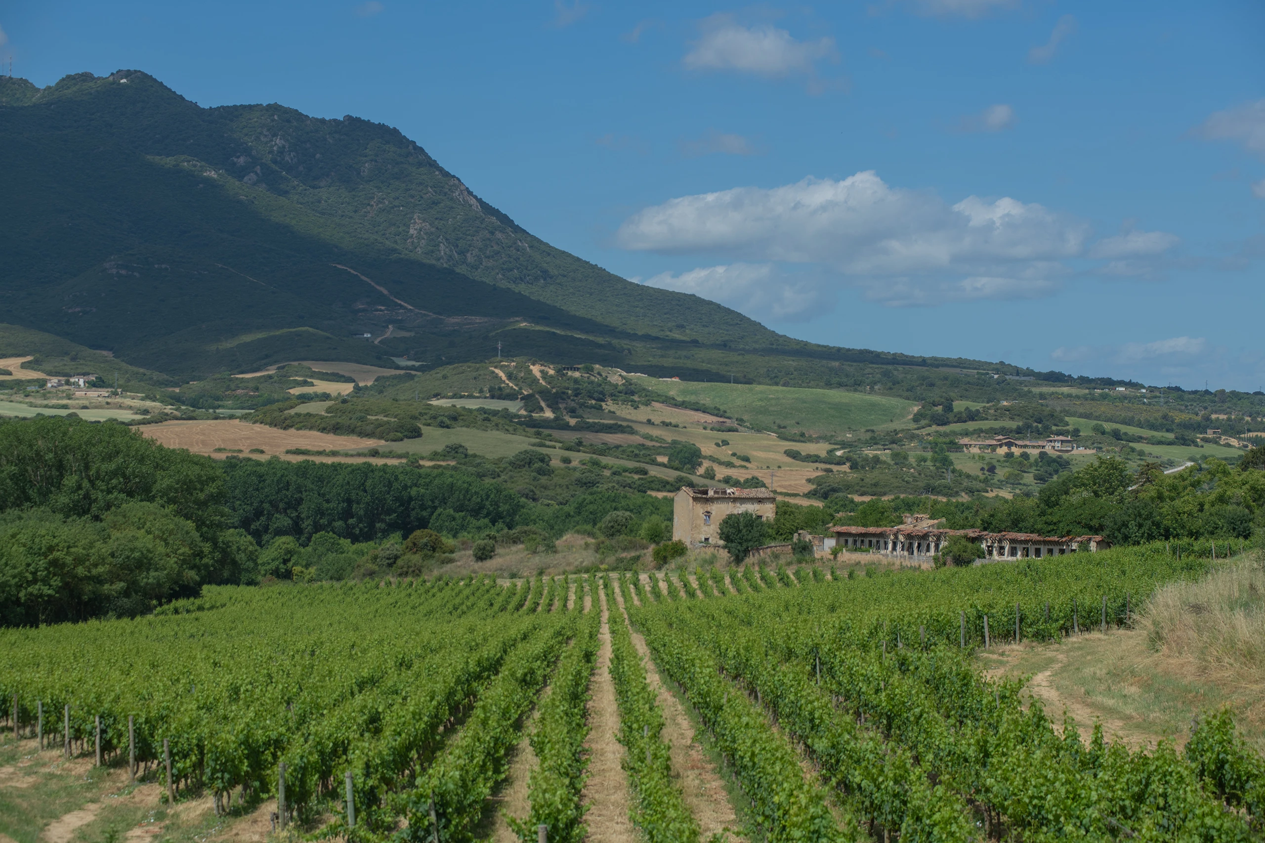 Foto 1 - Bodega Ar&iacute;nzano