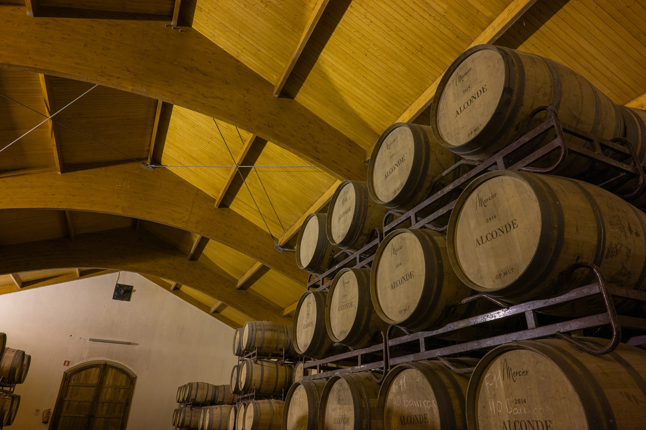 Foto 4 - Bodega y Vi&ntilde;edos Alconde