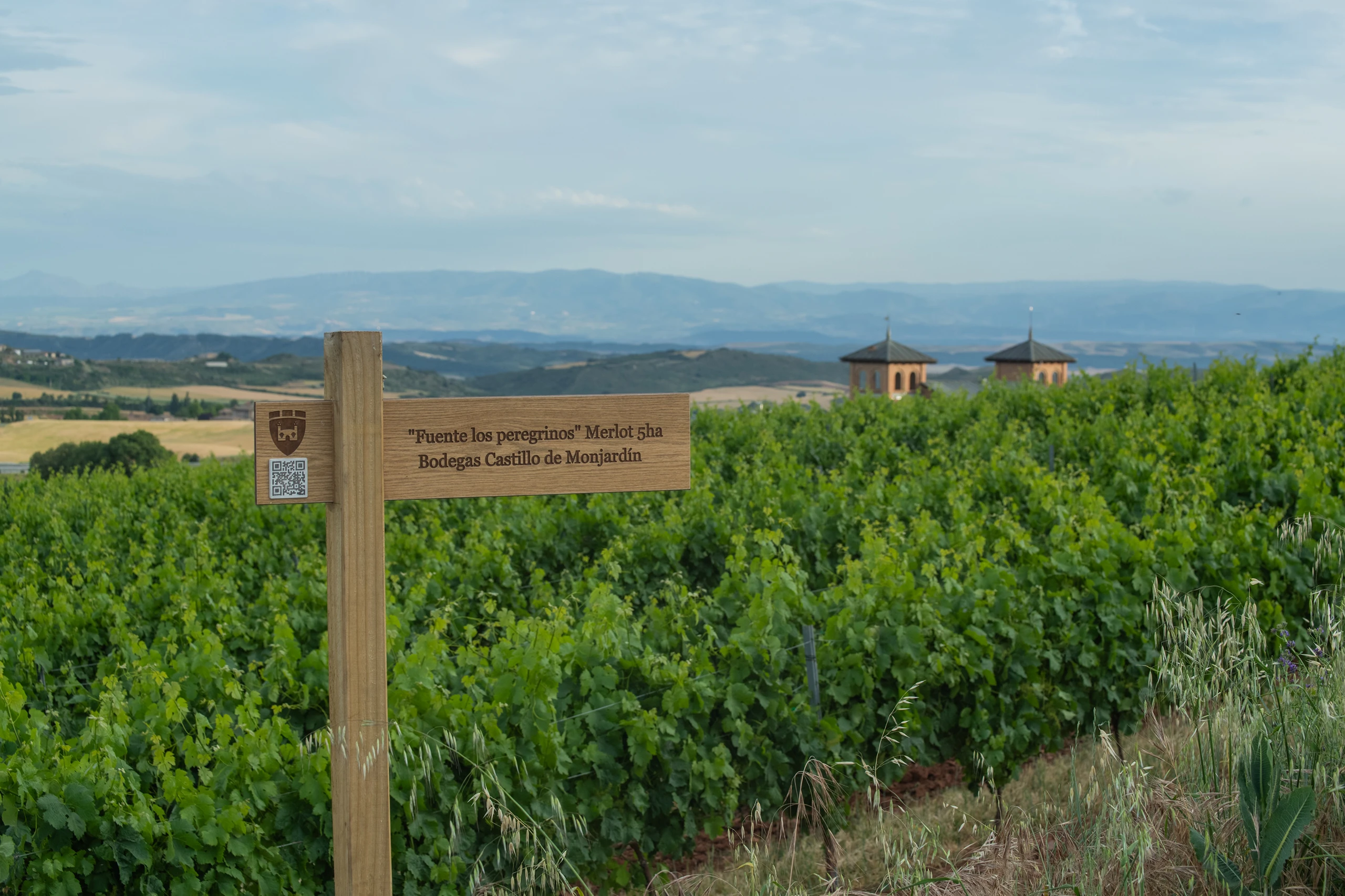Foto 3 - Bodegas Castillo de Monjard&iacute;n