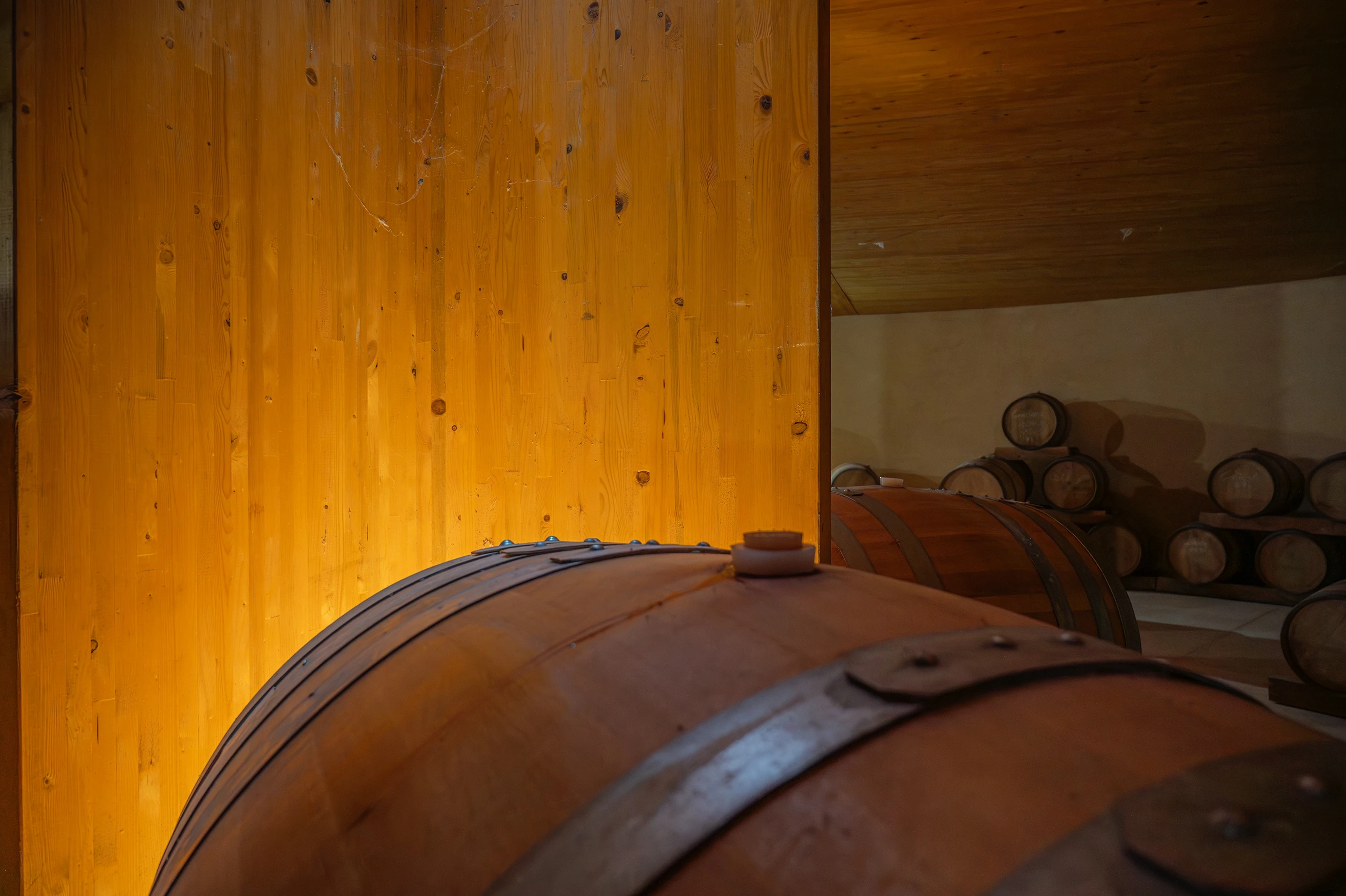 Foto 10 - Bodegas Emilio Valerio