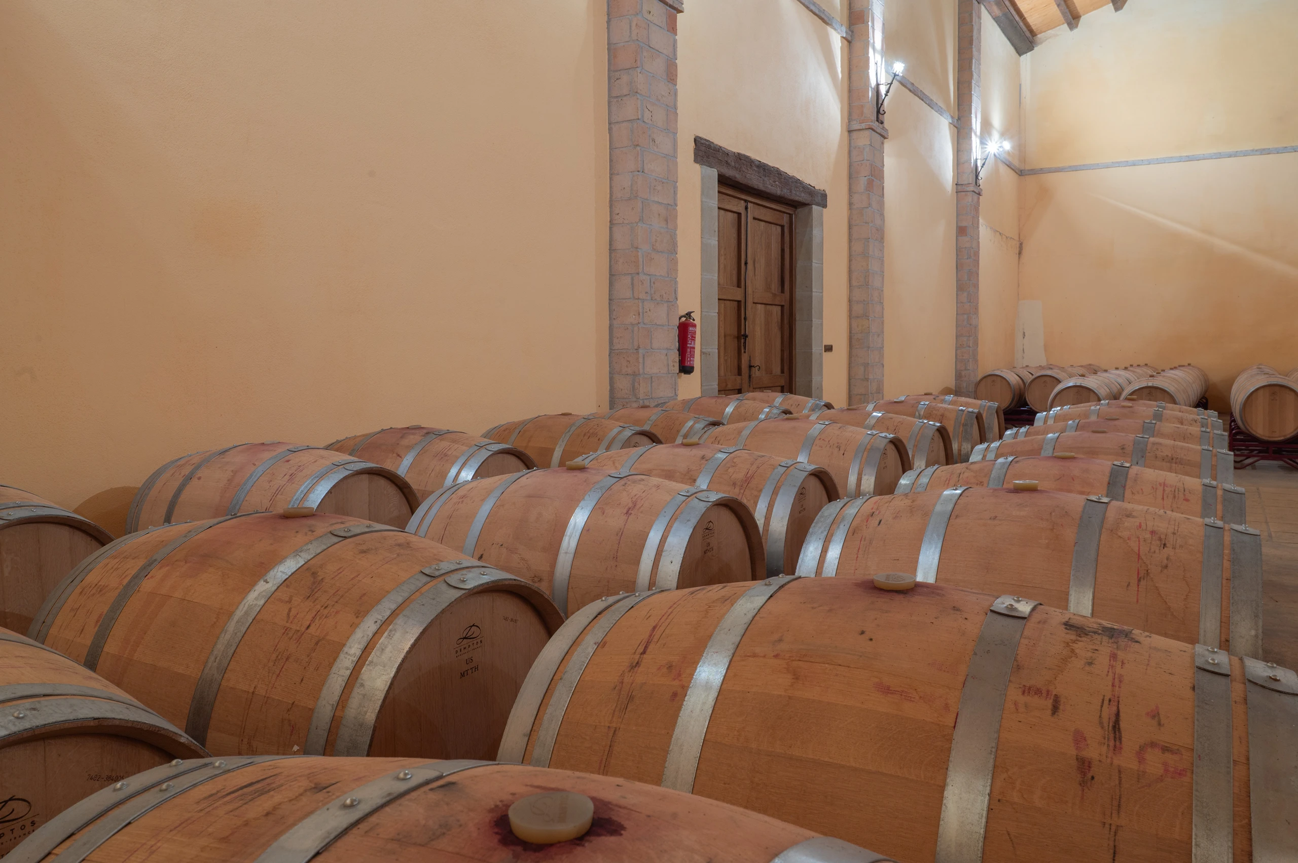 Foto 7 - Bodegas y Vi&ntilde;edos Alzania