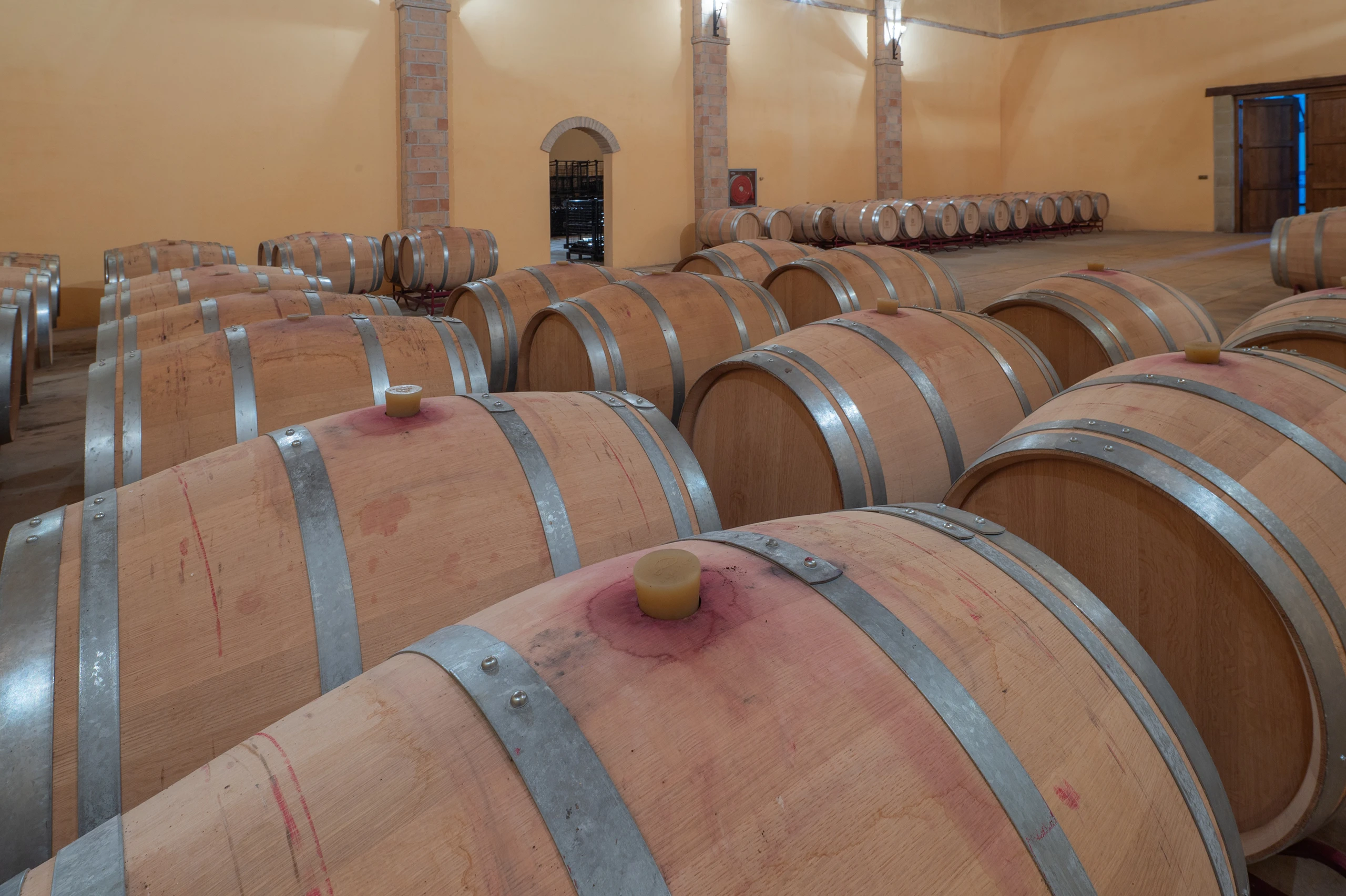 Foto 9 - Bodegas y Vi&ntilde;edos Alzania