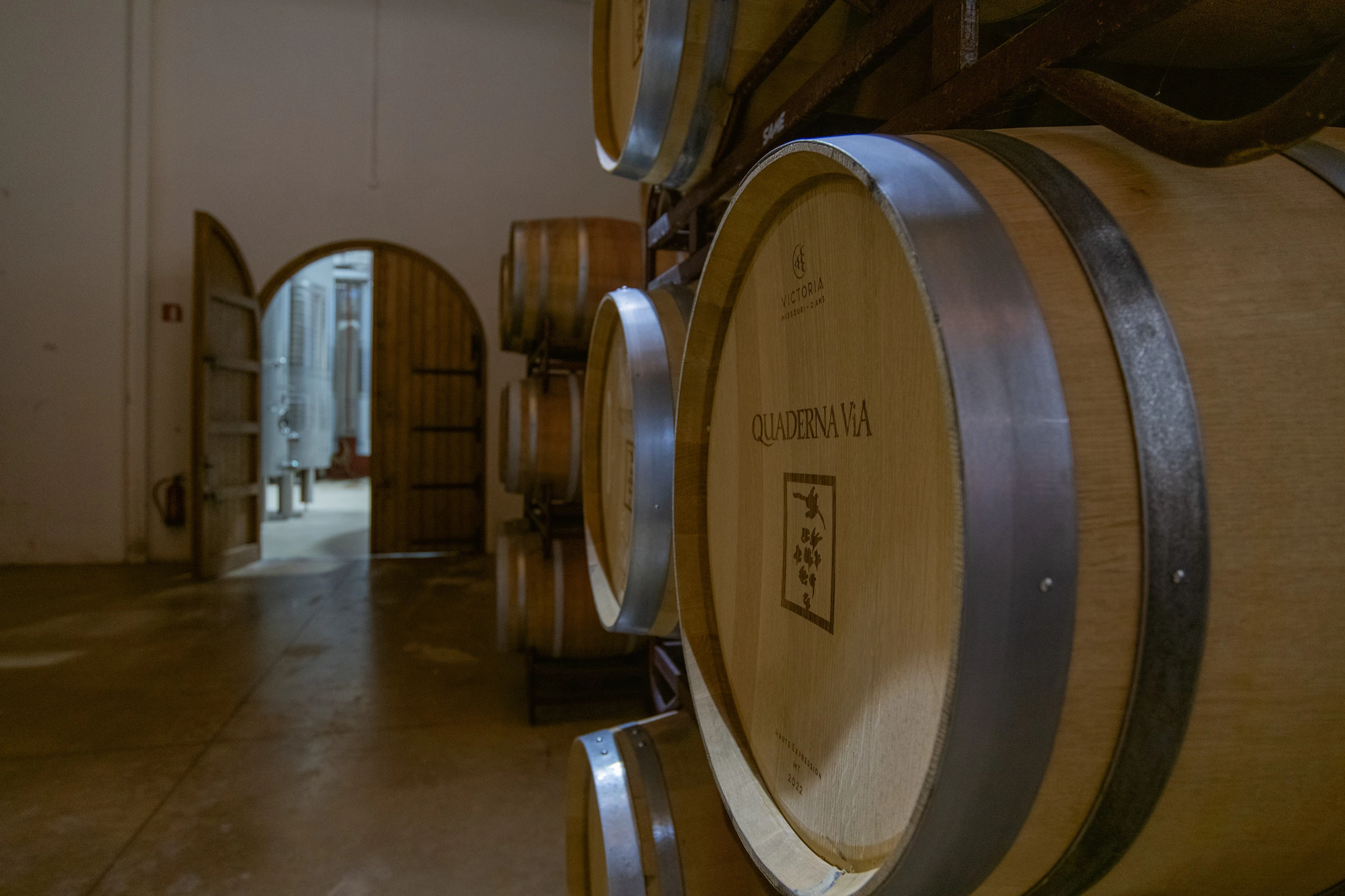 Foto 11 - Bodegas y Vi&ntilde;edos Quaderna V&iacute;a