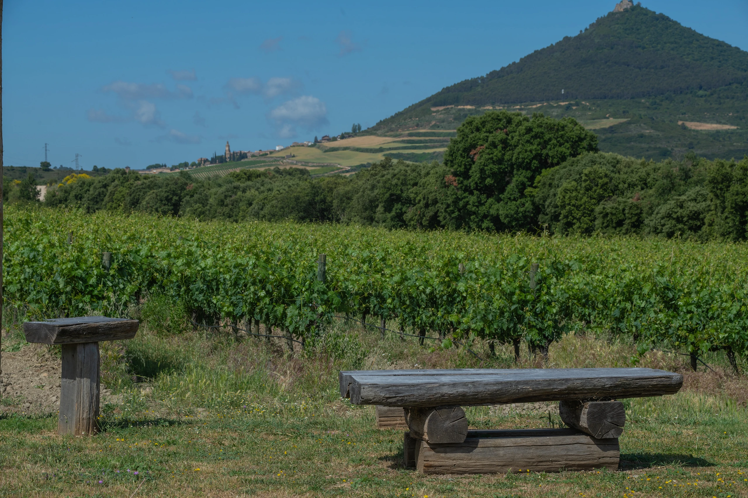 Foto 2 - Bodegas y Vi&ntilde;edos Quaderna V&iacute;a