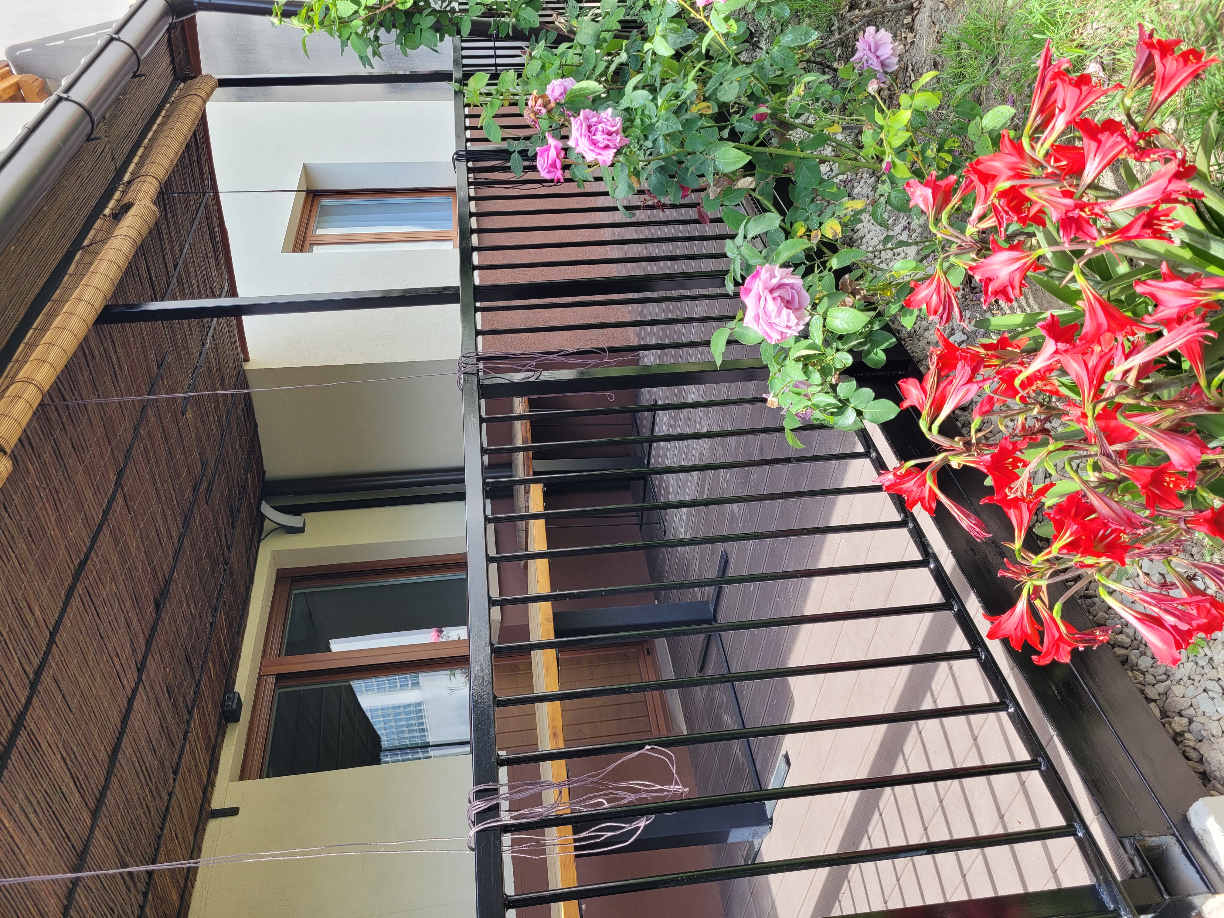 Casa Julio - foto 4