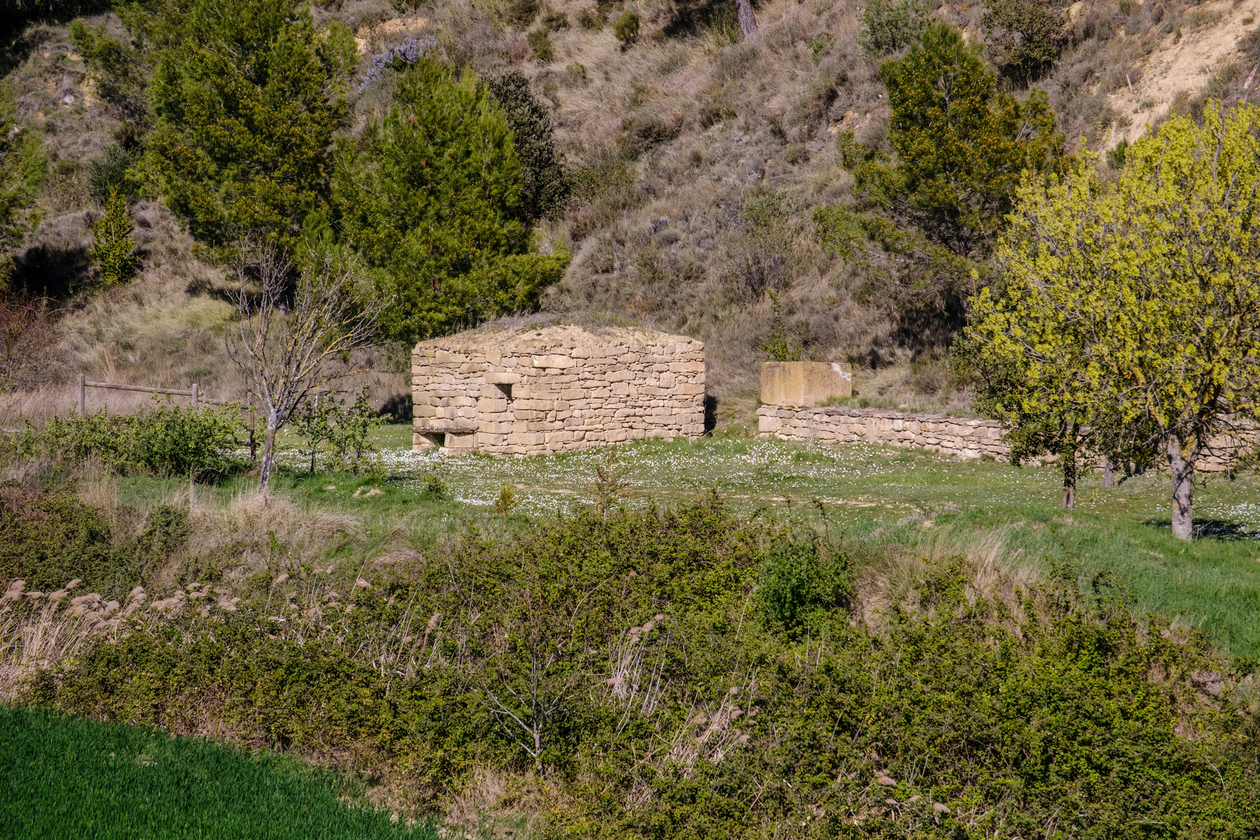 Pura ingenier&iacute;a ancestral