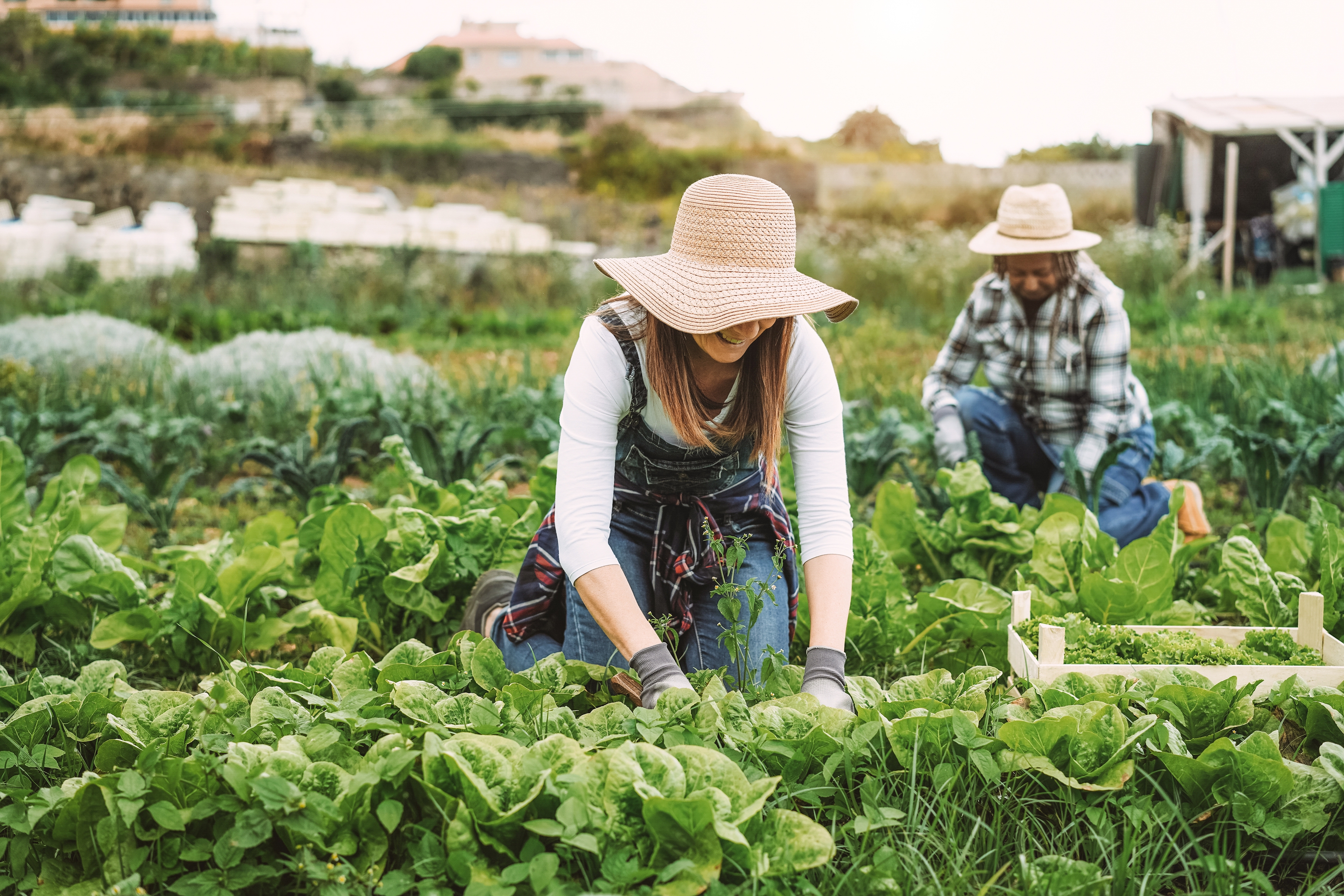 Una producci&oacute;n ecol&oacute;gica diversa