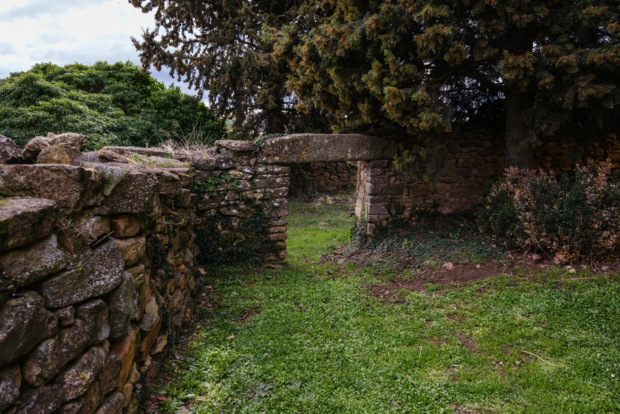 Historia de la vida rural