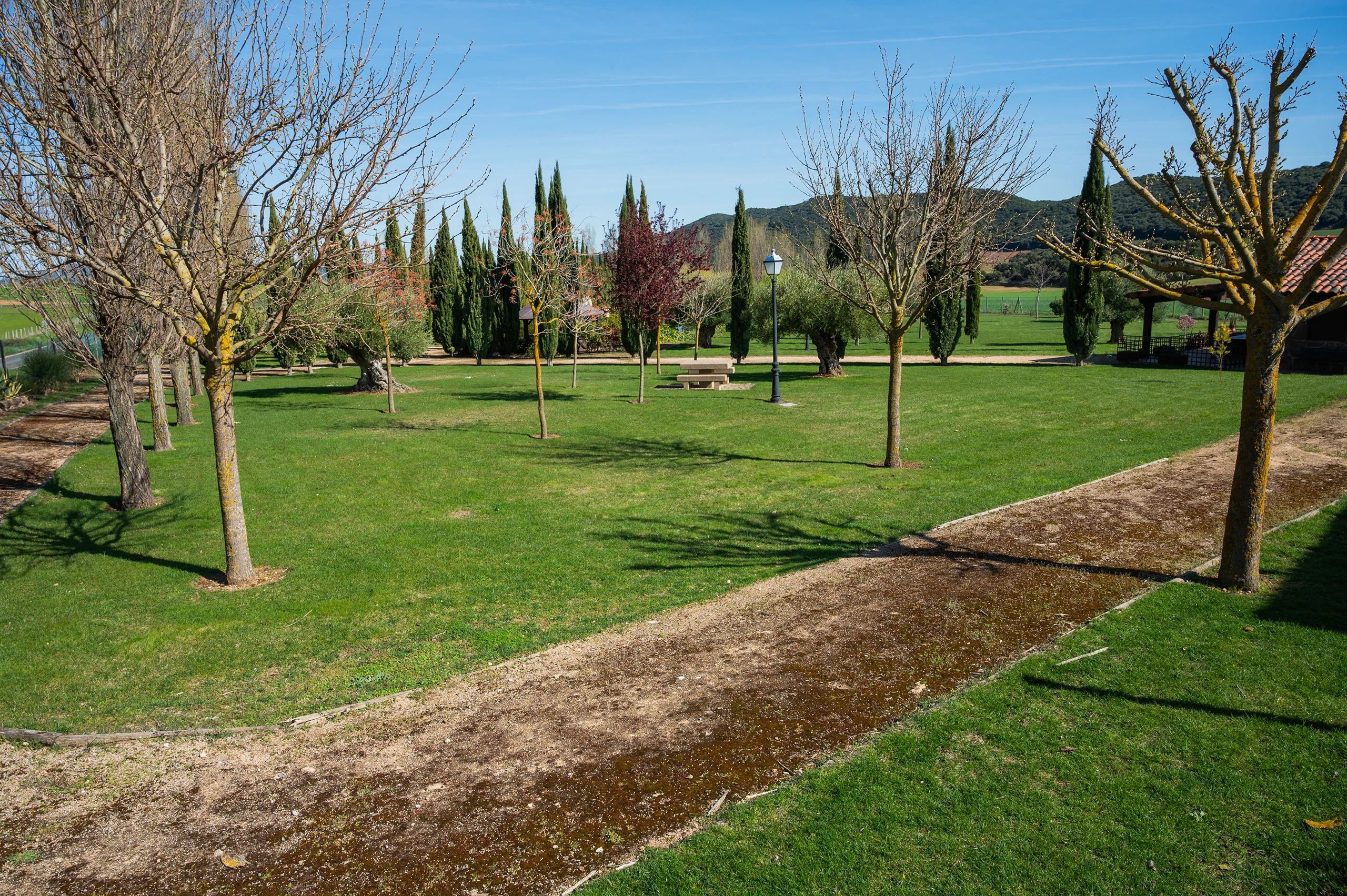 Oti&ntilde;ano