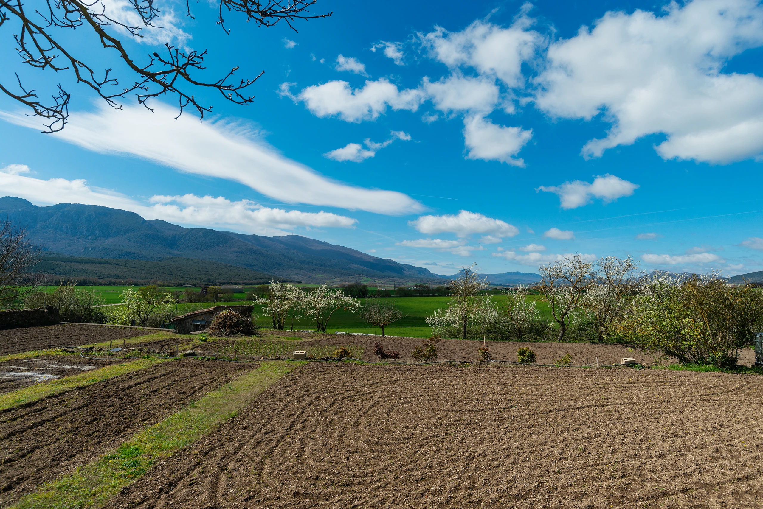 Foto 1 - Paisaje Protegido Huertas de Z&uacute;&ntilde;iga