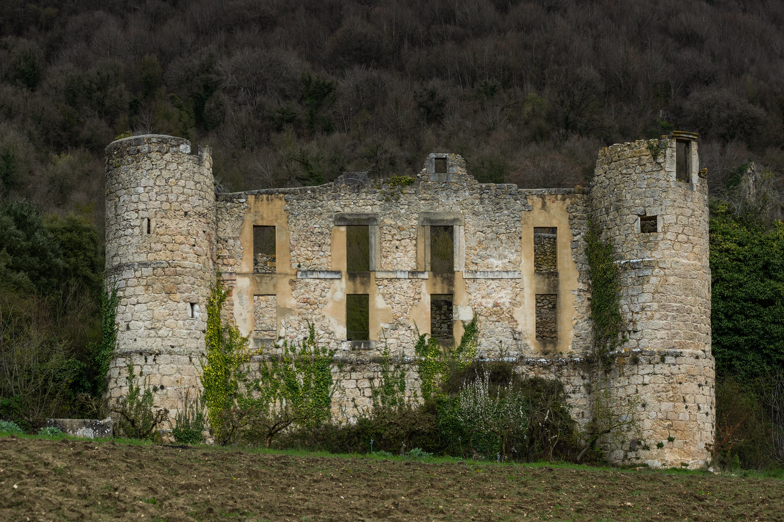 Foto 5 - Palacio Cabo de Armer&iacute;a de los &Aacute;lvarez de Eulate