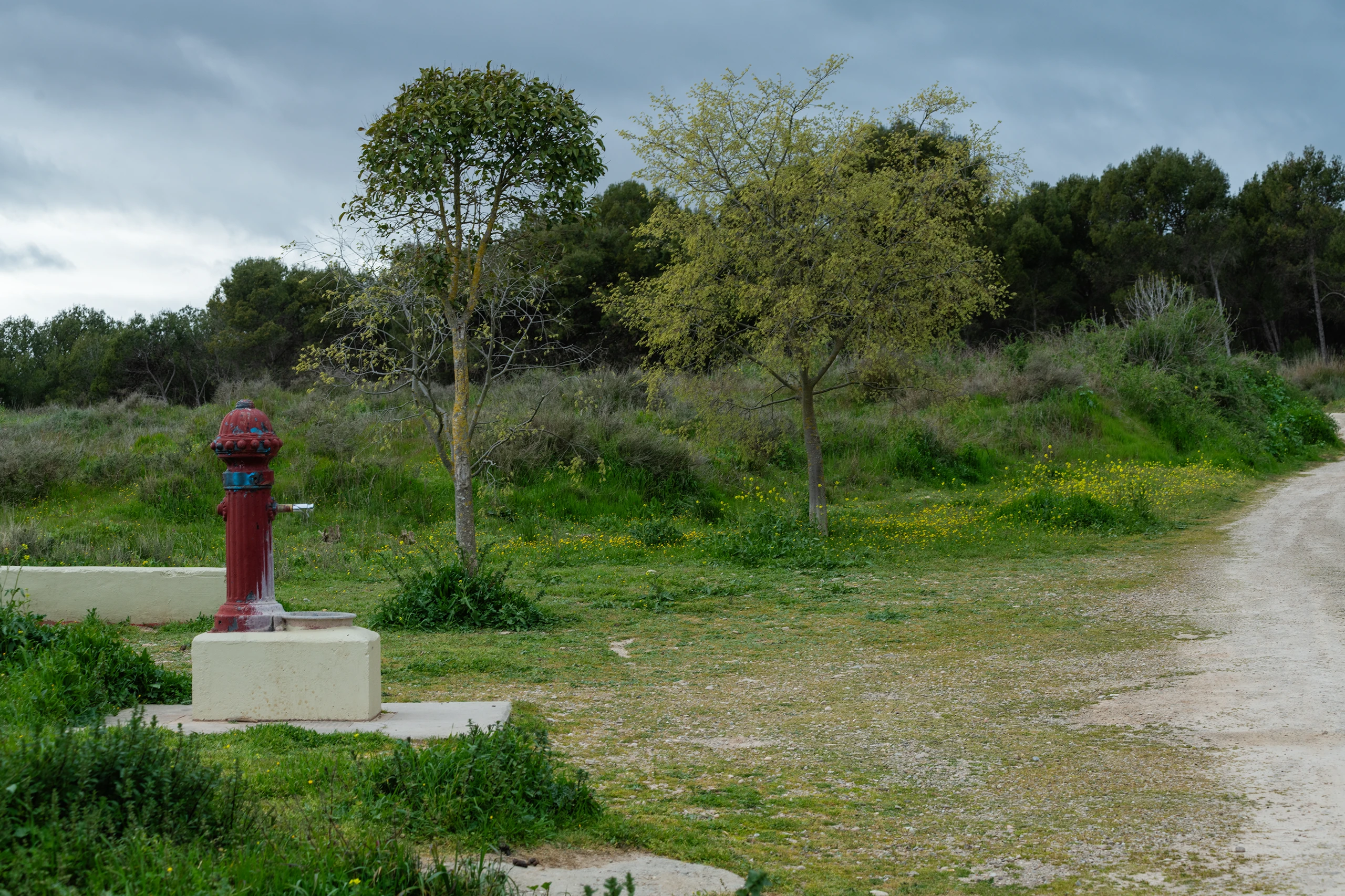 Un espacio de memoria y esperanza