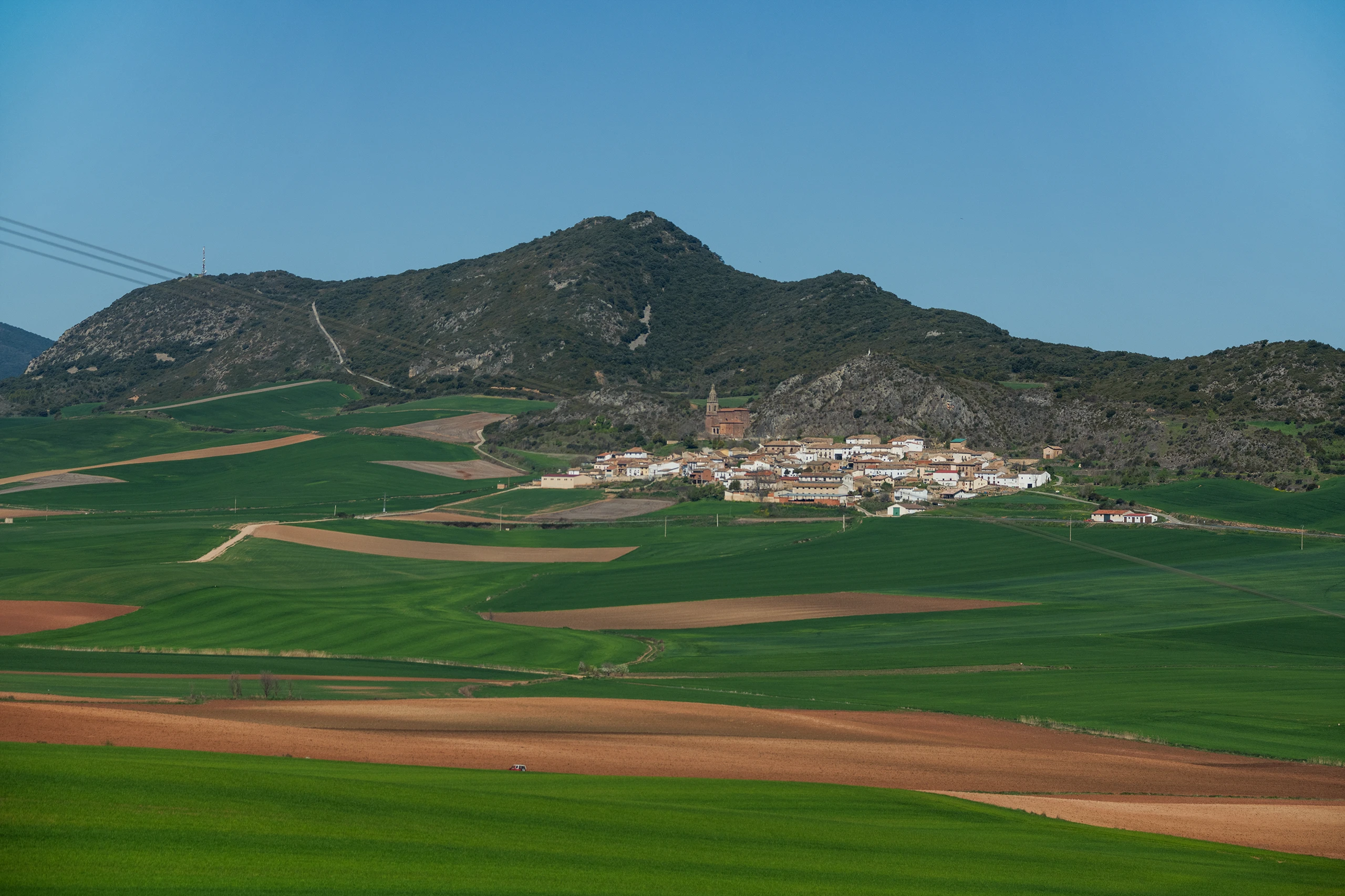 Piedramillera
