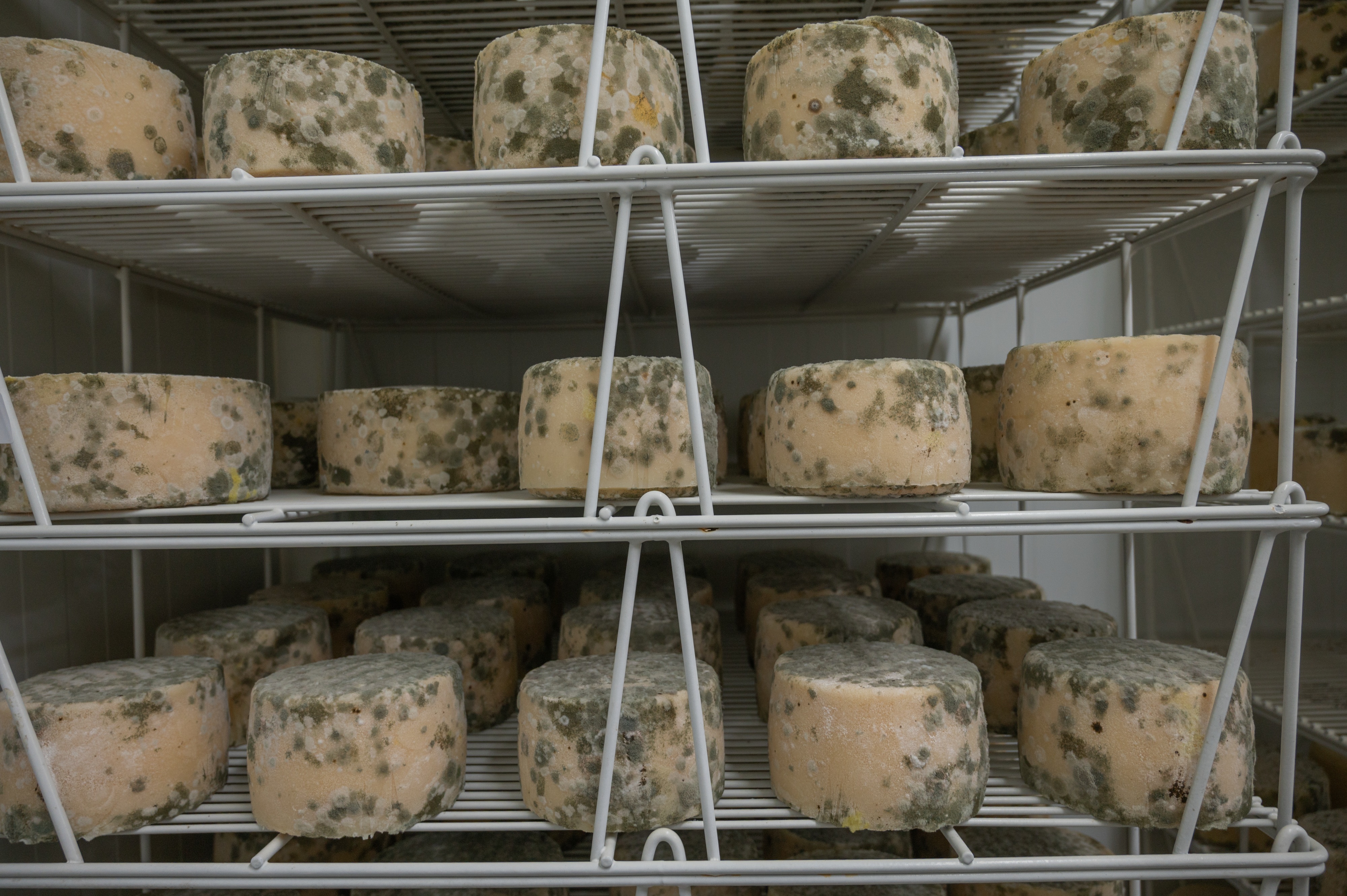 Del reba&ntilde;o al queso, sin intermediarios