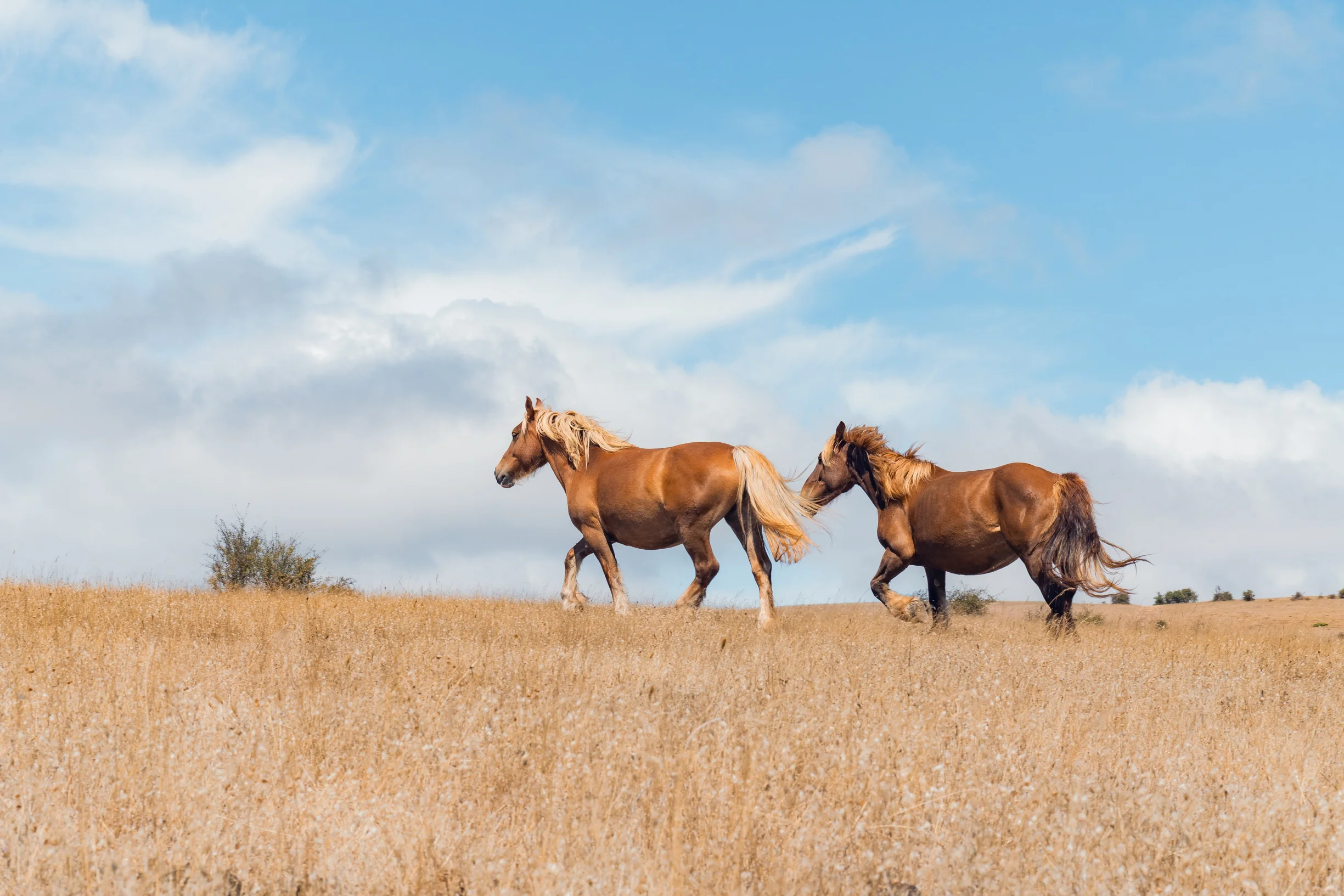 Foto de la ruta