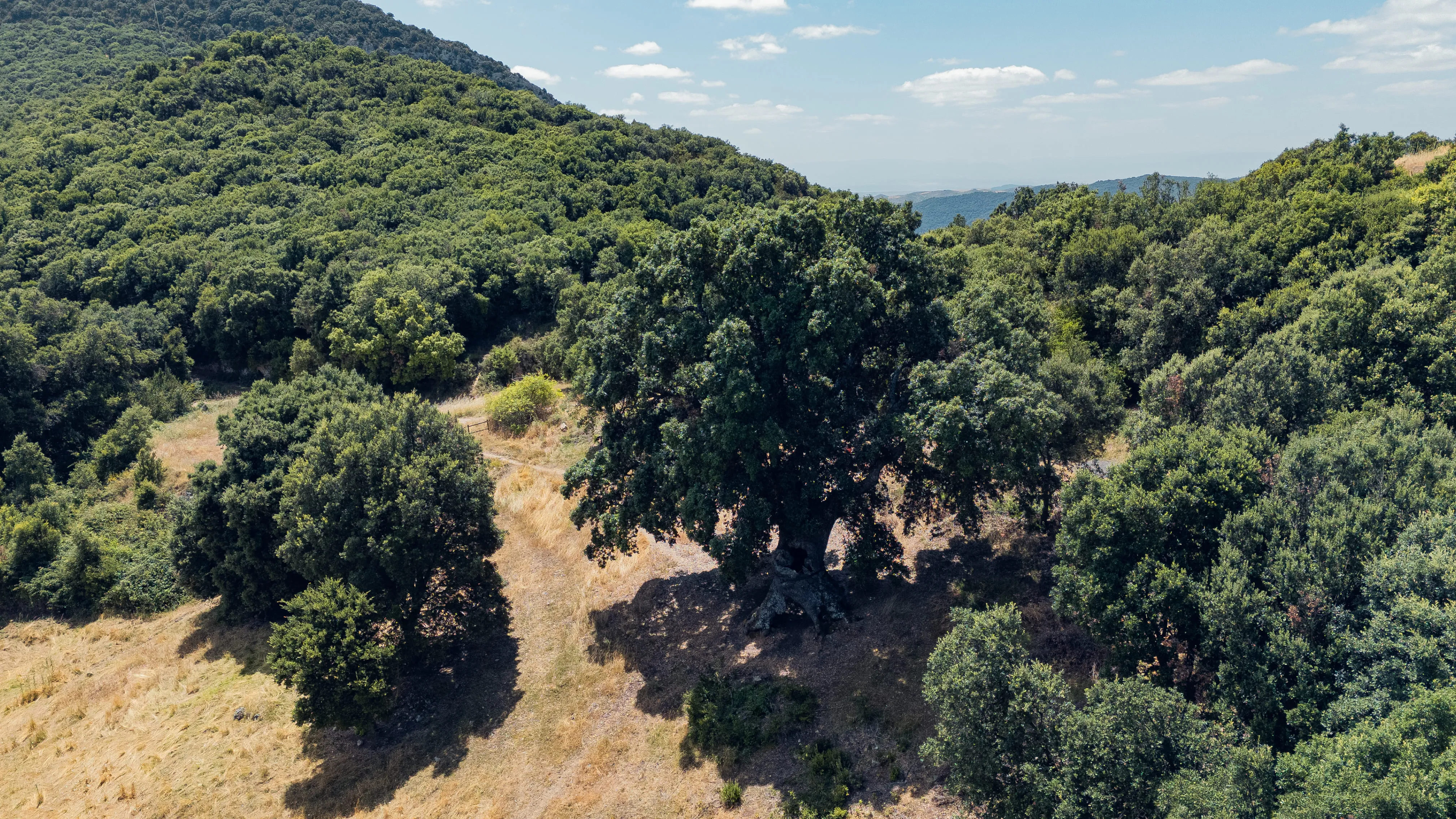 Ruta 7. Santa Coloma