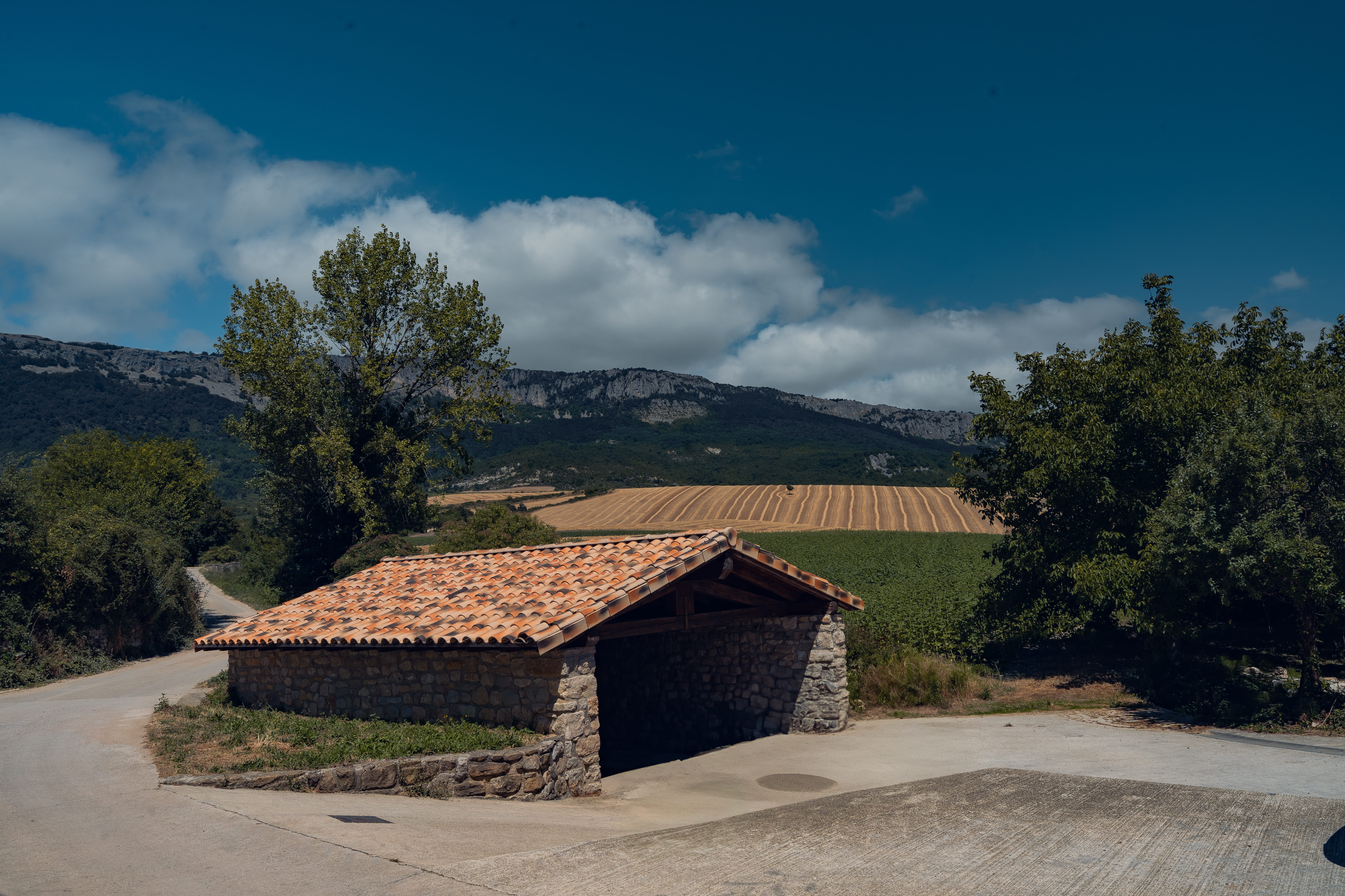Foto de la ruta