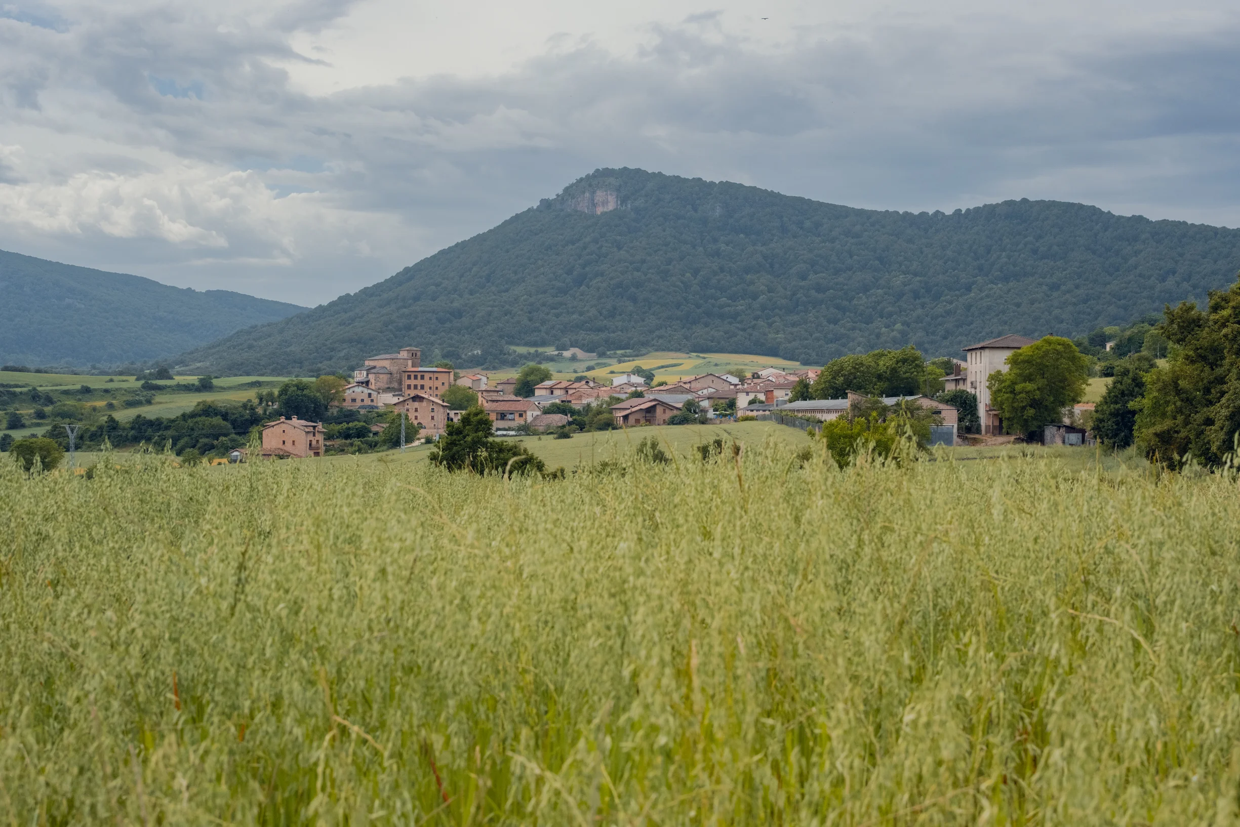 Foto de la ruta