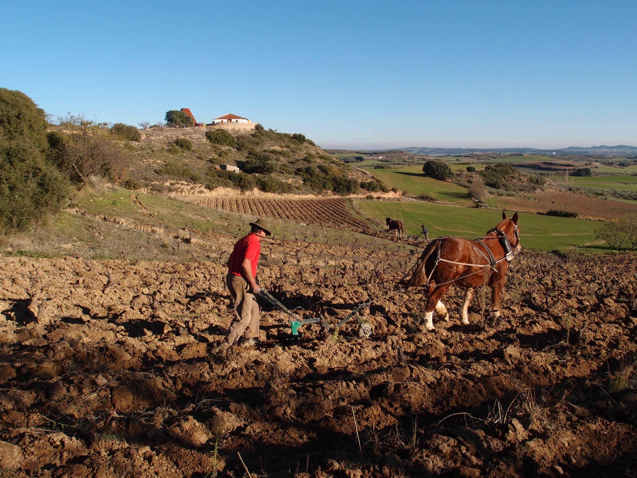 Vinos y Cerveza Entre Vi&ntilde;edos