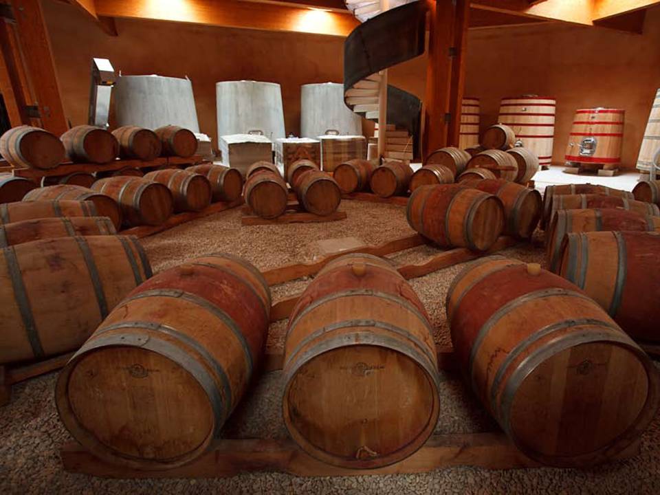 Visita y Cata Bodega y Trujal Emilio Valerio